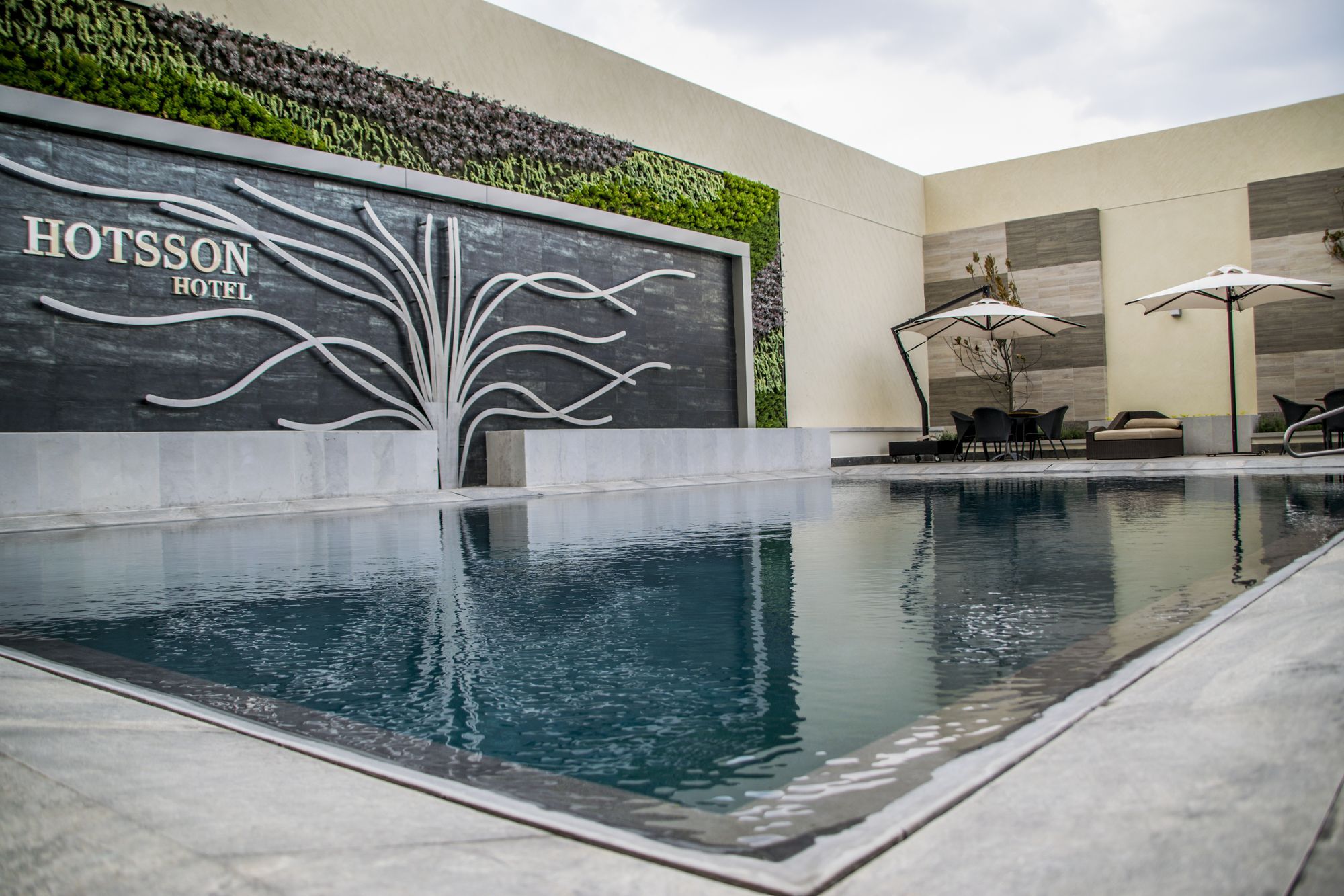 Hs Hotsson Hotel Irapuato Exterior foto